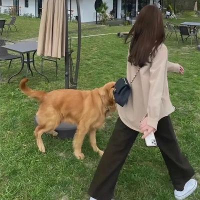 大脑失控
